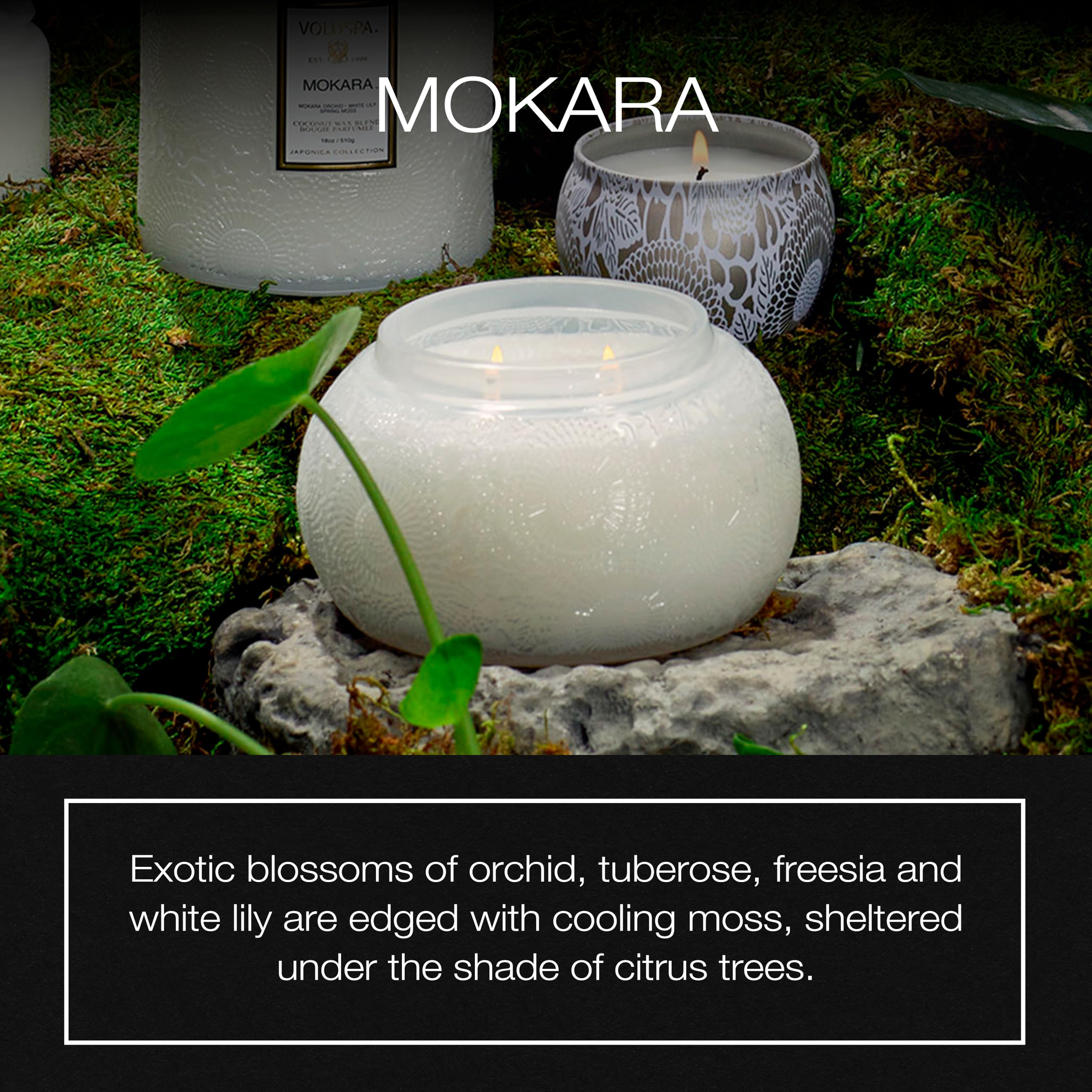 Voluspa Mokara, Glass Chawan Bowl Candle, 14 oz, 50 Hour Burn Time, Coconut Wax for Clean Burning, Handcrafted in the USA