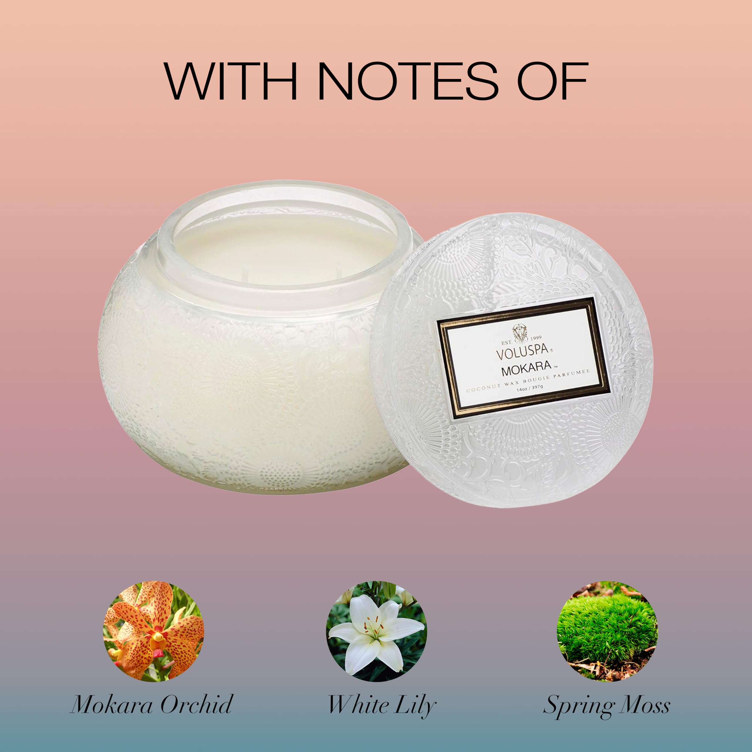 Voluspa Mokara, Glass Chawan Bowl Candle, 14 oz, 50 Hour Burn Time, Coconut Wax for Clean Burning, Handcrafted in the USA