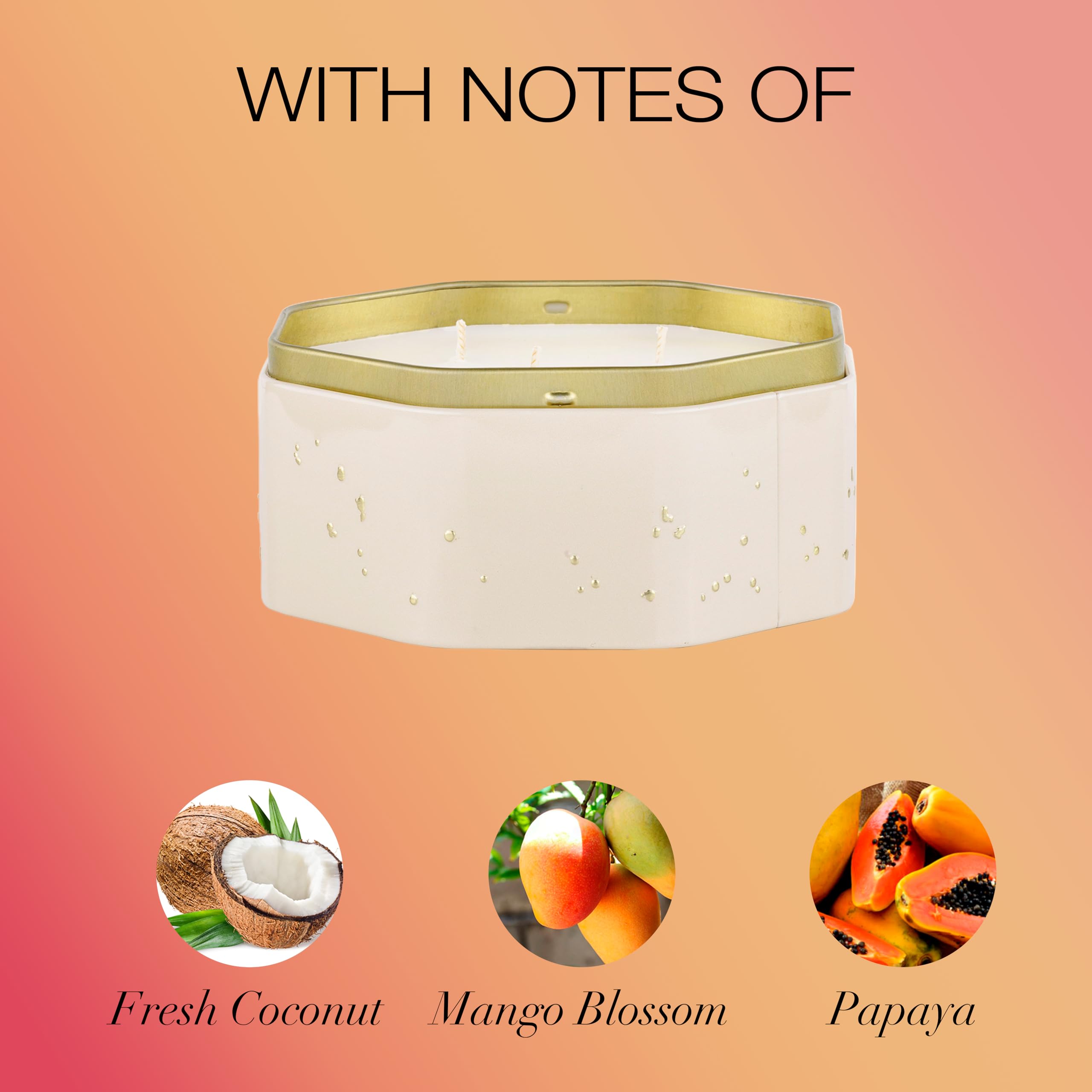 Voluspa Coconut Papaya, 3 Wick Tin Candle, 12 Ounces, 40 Hour Burn Time, Coconut Wax for Clean Burning, Handcrafted in The USA