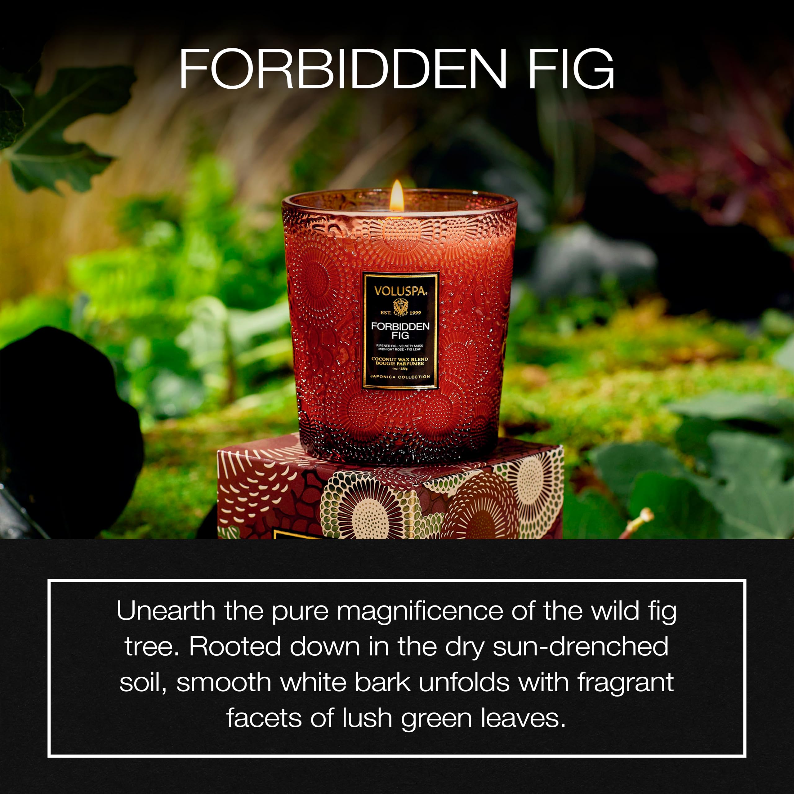 Voluspa Forbidden Fig, Classic Boxed Candle, 9 oz, 60 Hour Burn Time, Coconut Wax for Clean Burning, Handcrafted in The USA