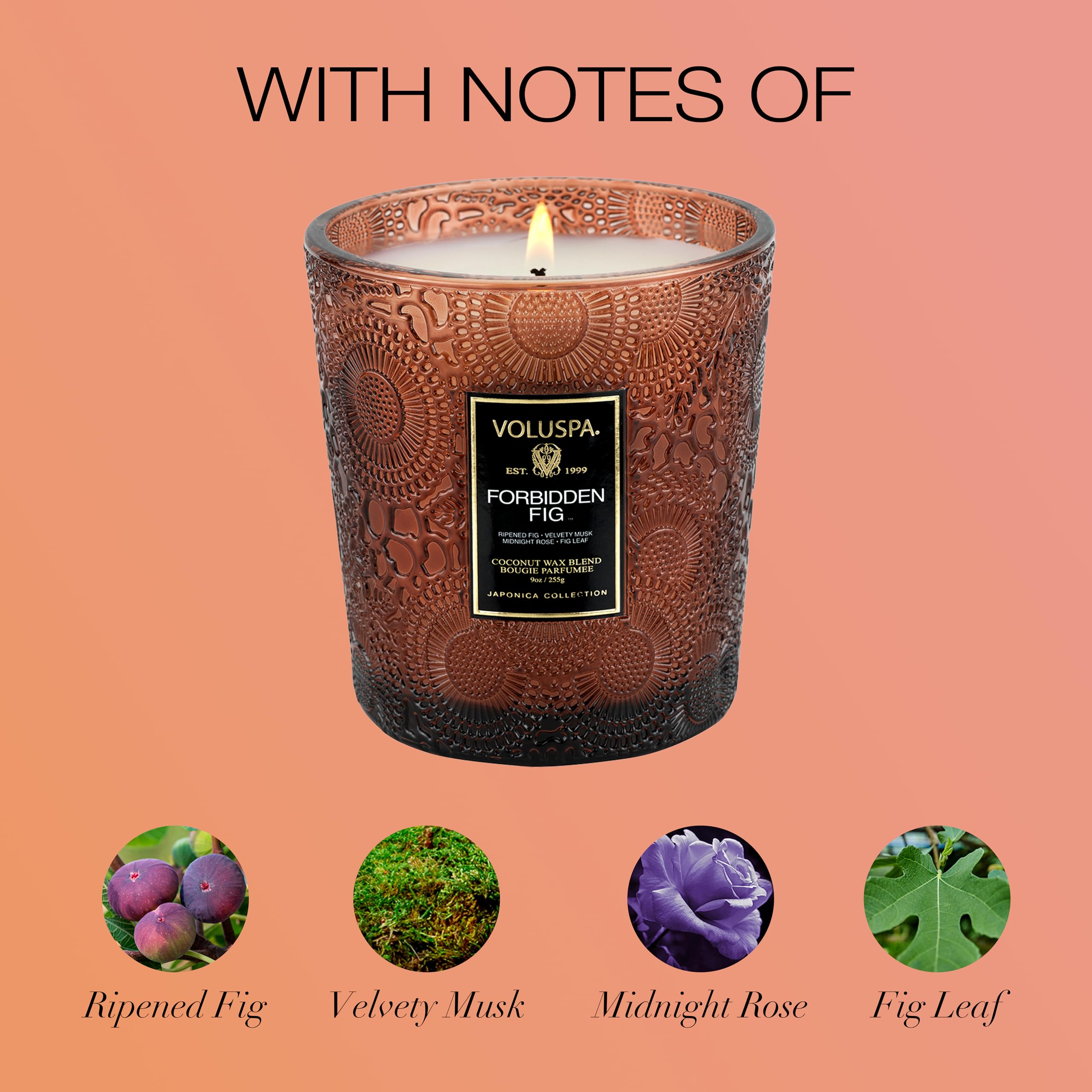 Voluspa Forbidden Fig, Classic Boxed Candle, 9 oz, 60 Hour Burn Time, Coconut Wax for Clean Burning, Handcrafted in The USA