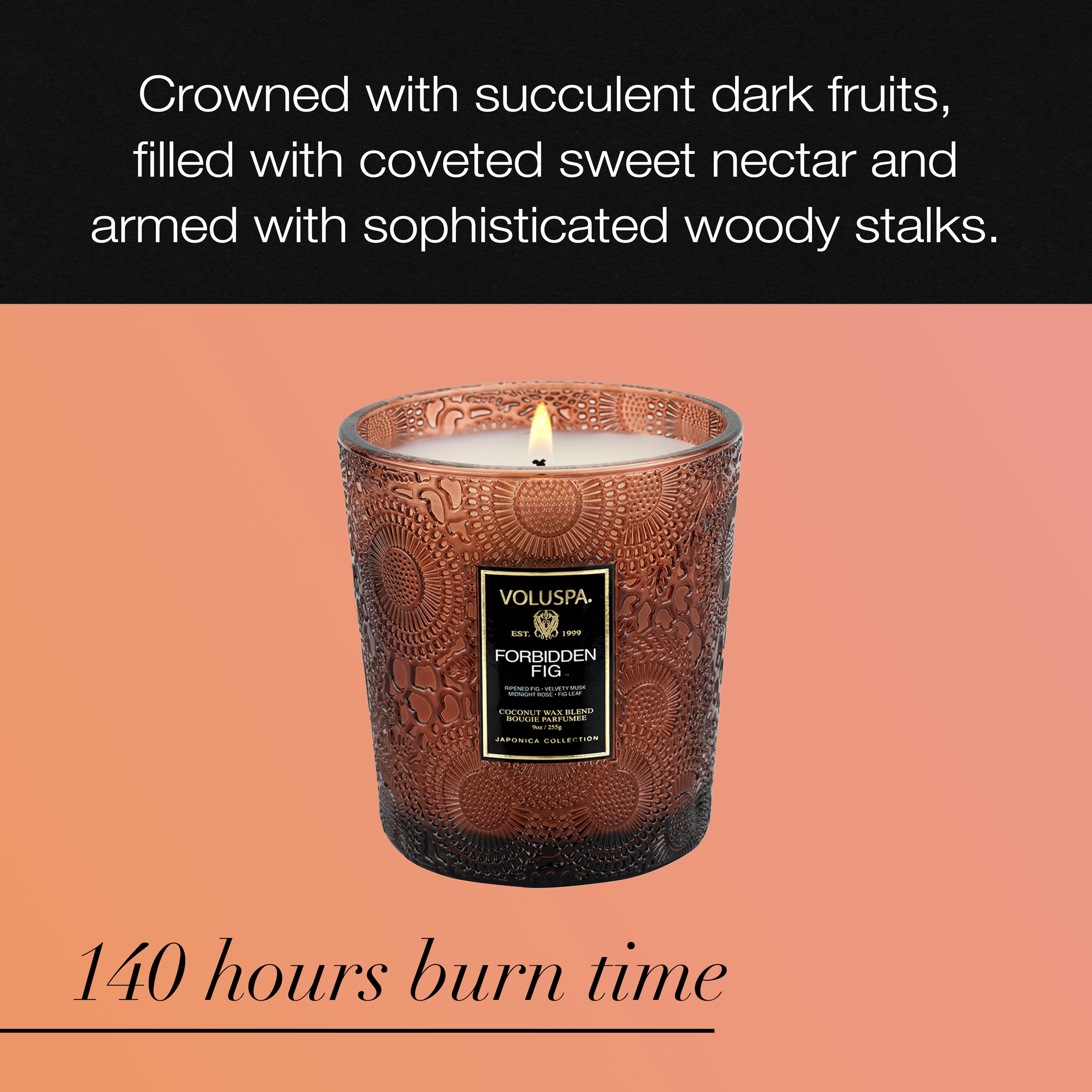 Voluspa Forbidden Fig, Classic Boxed Candle, 9 oz, 60 Hour Burn Time, Coconut Wax for Clean Burning, Handcrafted in The USA
