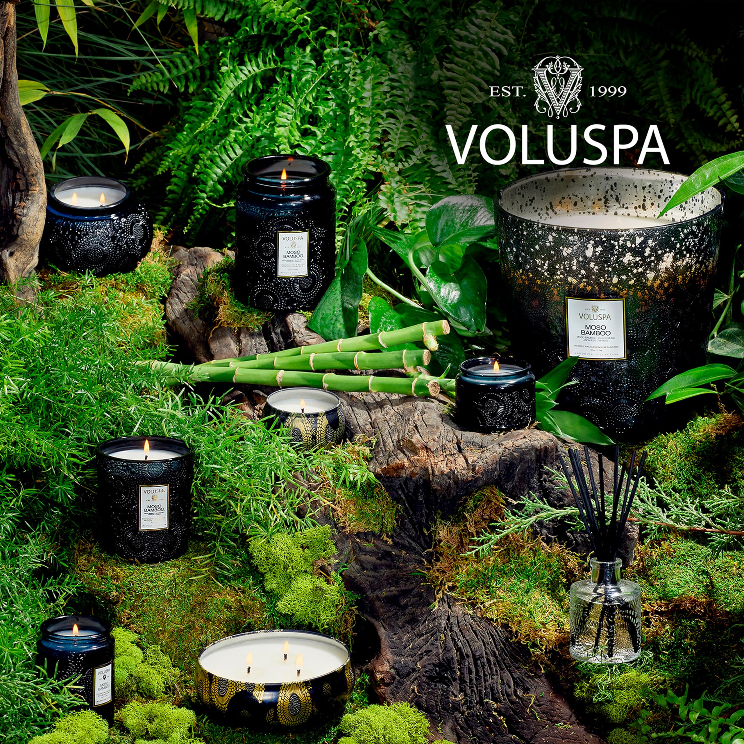 Voluspa Moso Bamboo, Glass Chawan Bowl Candle, 14 ounce, 50 Hour Burn Time, Coconut Wax for Clean Burning, Handcrafted in the USA