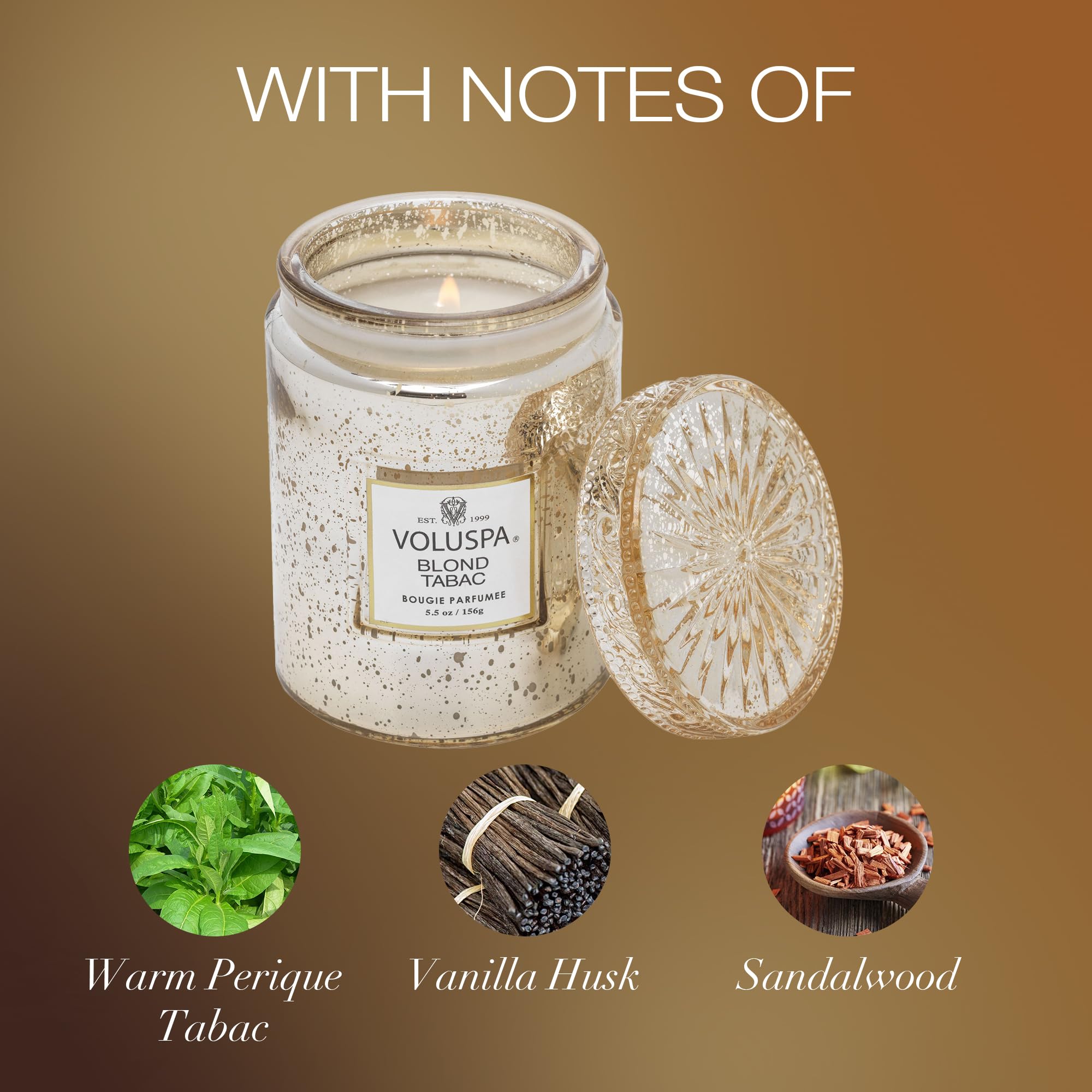 Voluspa Blond Tabac, Small Candle Jar, 5.5 oz, 50 Hour Burn Time, Coconut Wax for Clean Burning, Handcrafted in The USA