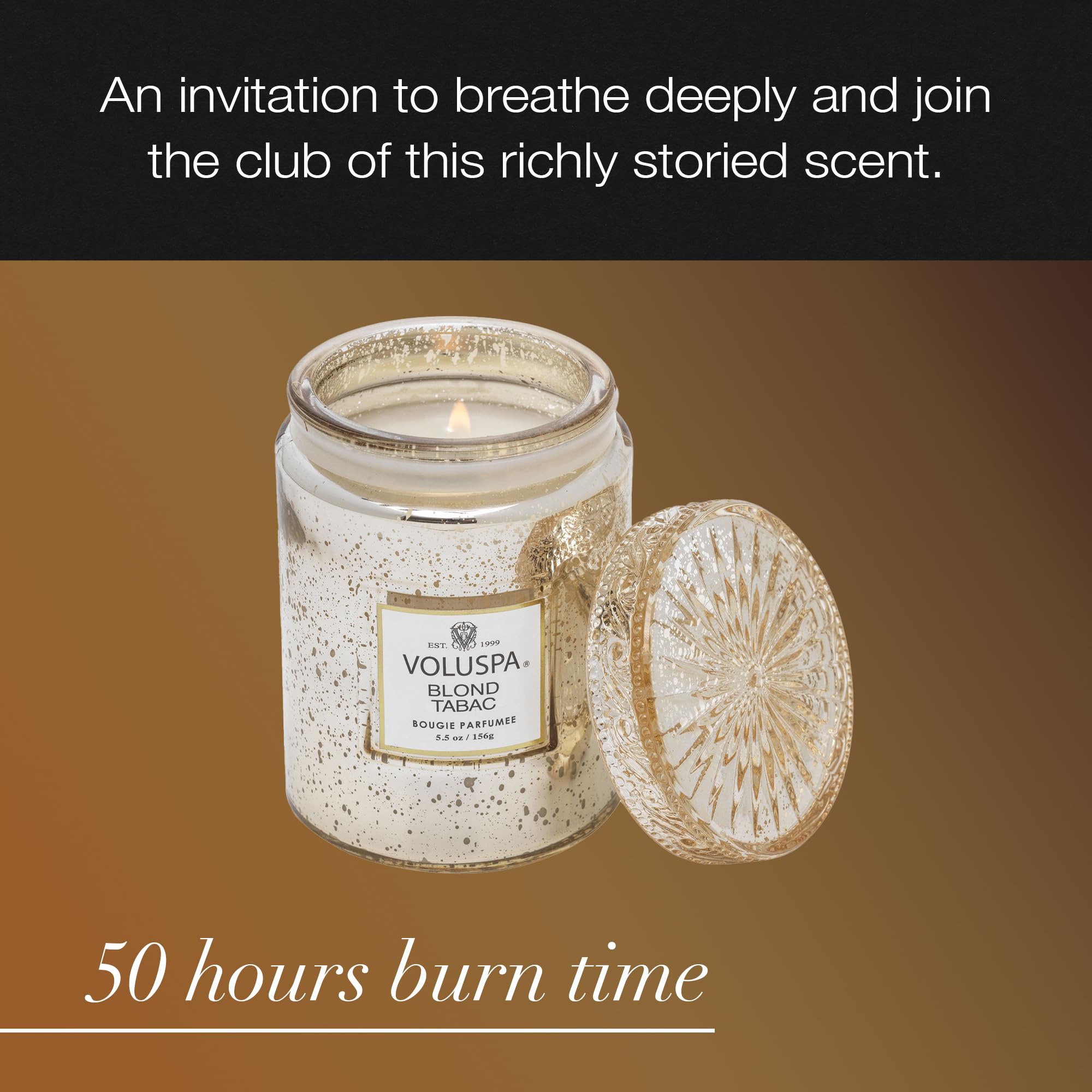 Voluspa Blond Tabac, Small Candle Jar, 5.5 oz, 50 Hour Burn Time, Coconut Wax for Clean Burning, Handcrafted in The USA