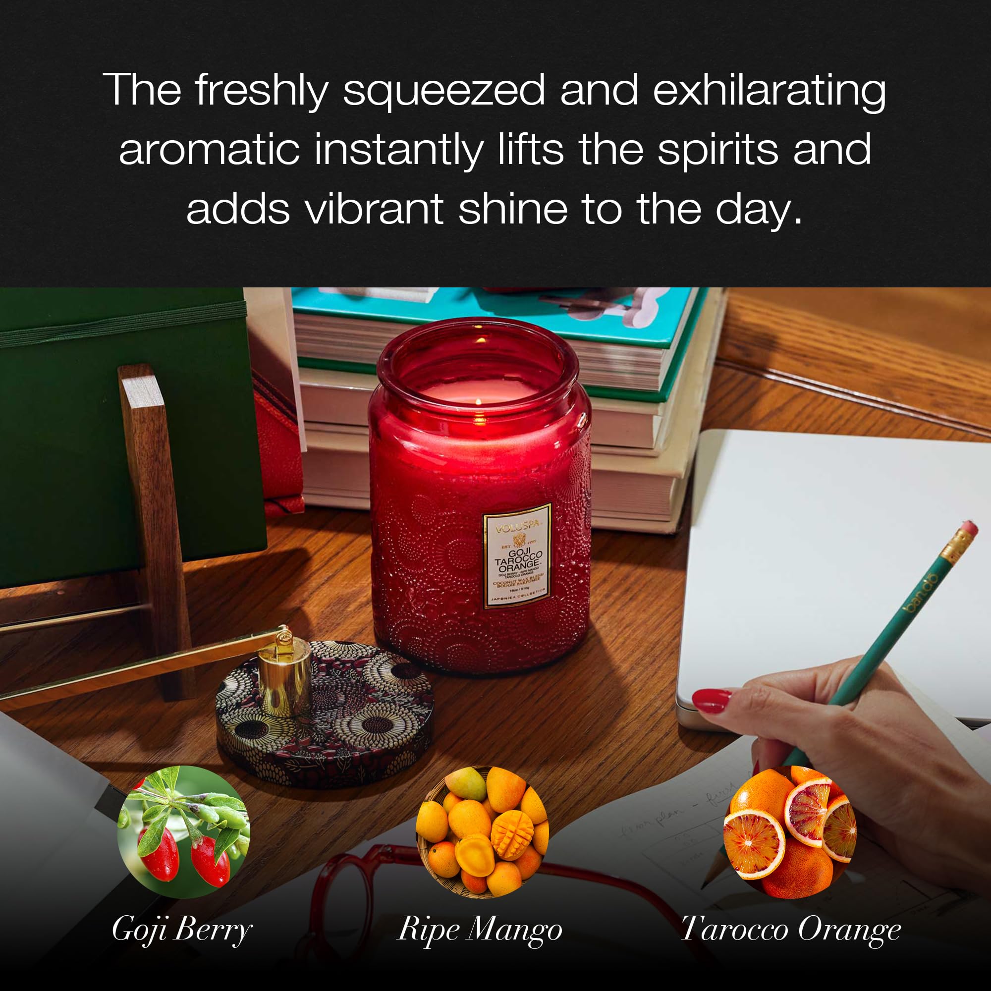 Voluspa Goji Tarocco Orange, Large Candle Jar, 18 oz, 100 Hour Burn Time, All Natural Wicks and Coconut Wax for Clean Burning, Vegan, Poured in the USA