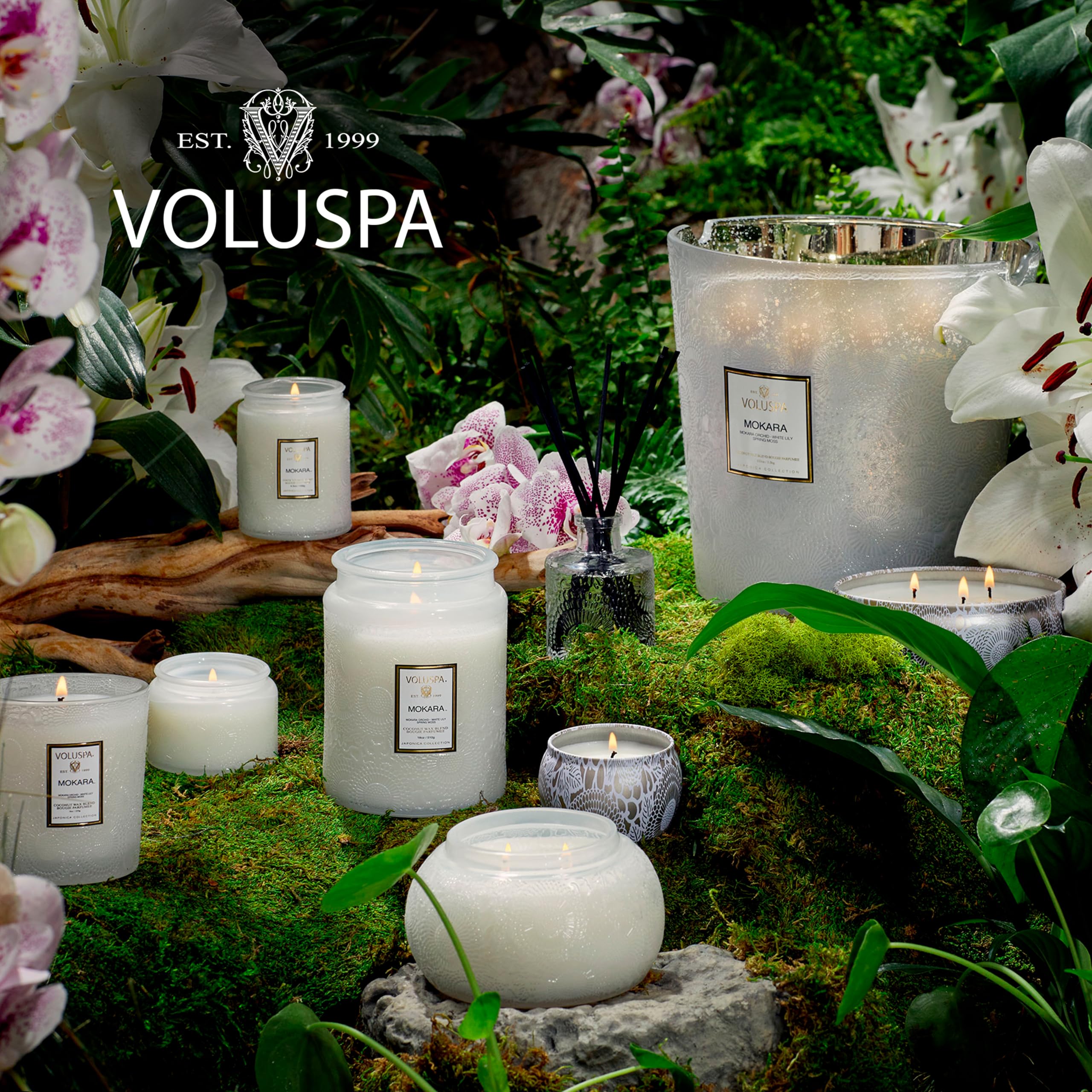 Voluspa Mokara, Small Candle Jar, 5.5 oz, 50 Hour Burn Time, Coconut Wax for Clean Burning, Handcrafted in the USA