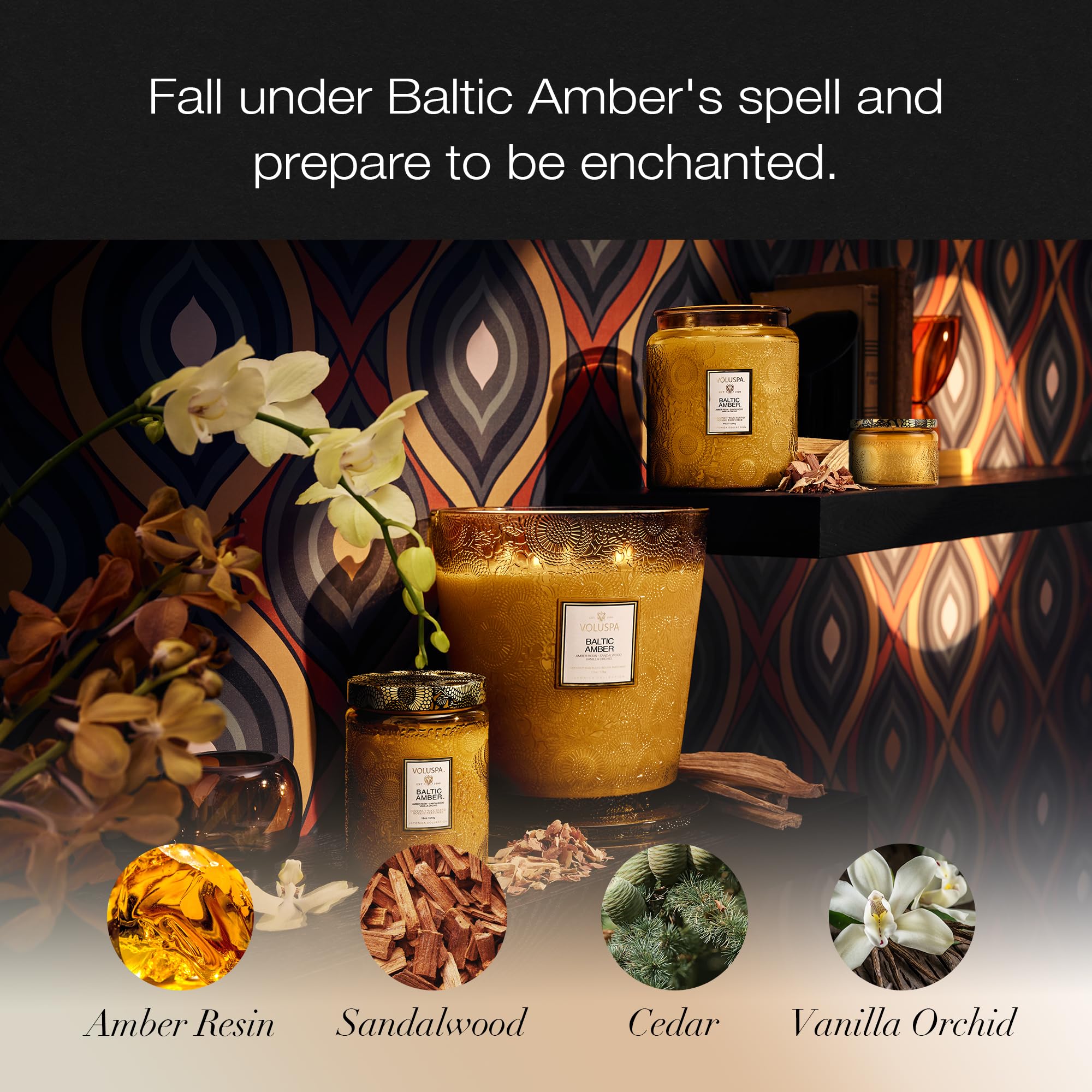 Voluspa Baltic Amber, Petite Candle Jar, 3.2 Ounce, 25 Hour Burn Time, Coconut Wax for Clean Burning, Handcrafted in the USA